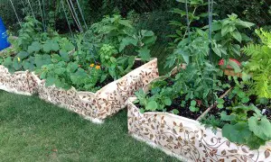 A raised bed for healthy organic produce